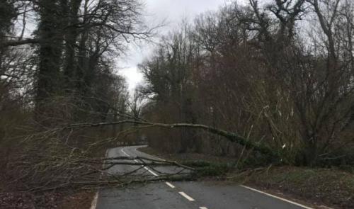 Tempête : votre assurance vous couvre-t-elle ?