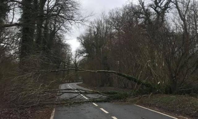 Tempête : votre assurance vous couvre-t-elle ?