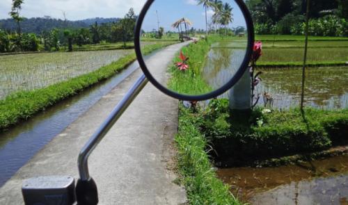BaliRétro, les jeux de miroirs moto d'un photographe liégeois 
