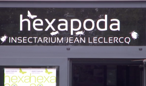 Waremme pourrait bientôt accueillir toutes les collections d'insectes de la Belgique francophone