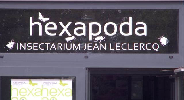 Waremme pourrait bientôt accueillir toutes les collections d'insectes de la Belgique francophone