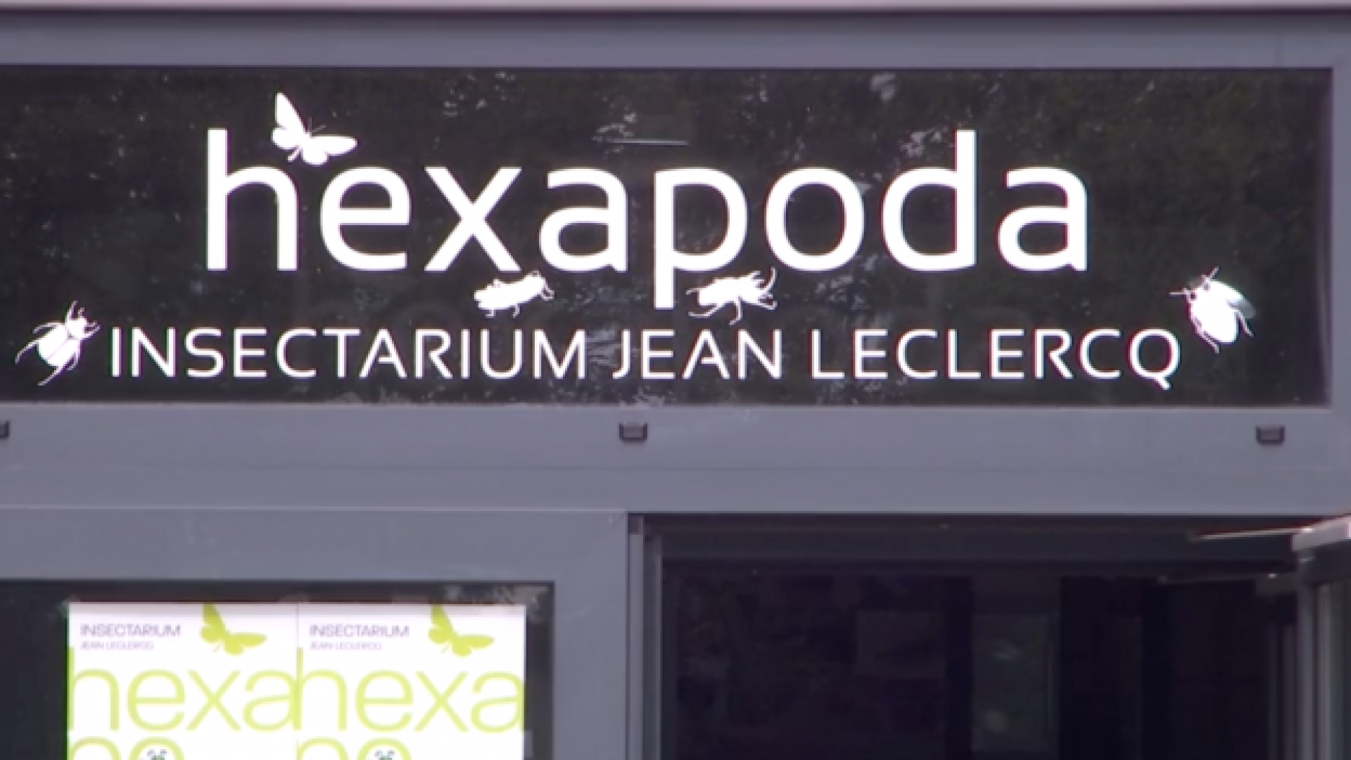 Waremme pourrait bientôt accueillir toutes les collections d'insectes de la Belgique francophone