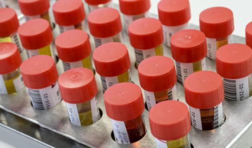 Un laboratoire d'amphétamines découvert à Soumagne, une première en Wallonie