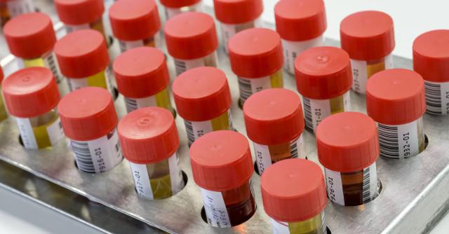 Un laboratoire d'amphétamines découvert à Soumagne, une première en Wallonie