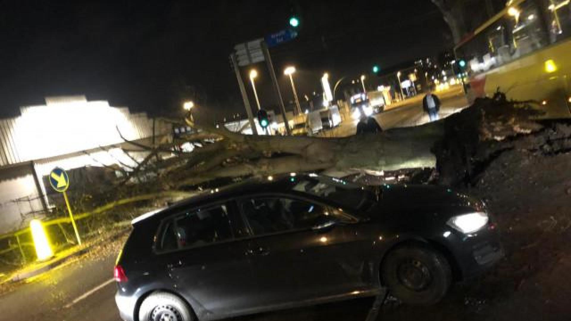 Le Boulevard de l'Ourthe à l'arrêt à cause d'un arbre