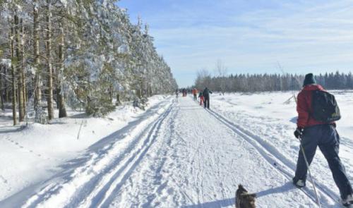 Envie de skier ce vendredi ?