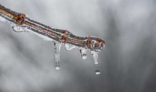 "Le Covid-19 pourrait se révéler néfaste pour le climat"