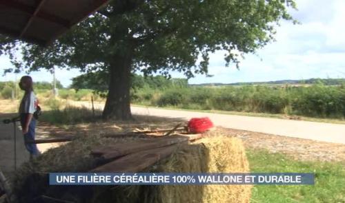 Clavier : Une filière céréalière 100% wallonne et durable 