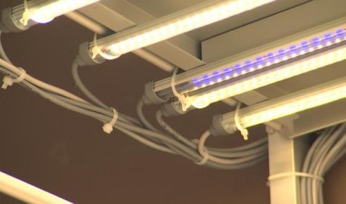 15 ans de fabrication d'éclairage LED à Seraing