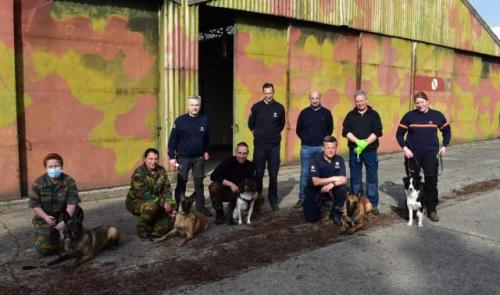 Les "chiens renifleurs Covid-19" de l'ULiège, pas utilisés en Belgique