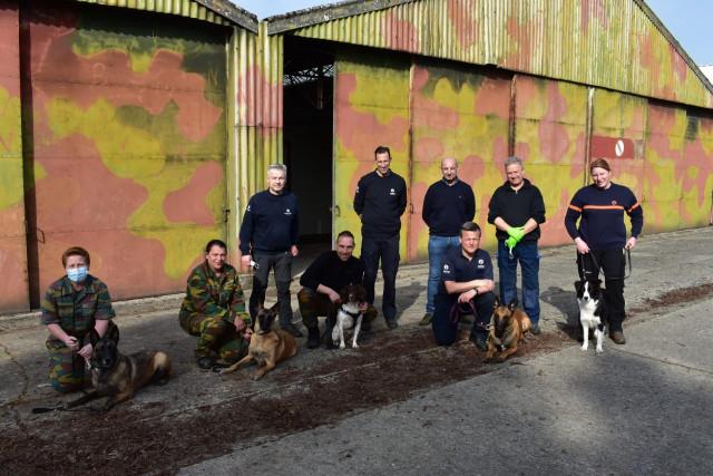 Les "chiens renifleurs Covid-19" de l'ULiège, pas utilisés en Belgique