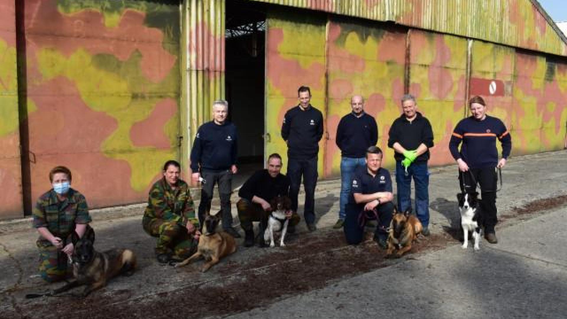 Les "chiens renifleurs Covid-19" de l'ULiège, pas utilisés en Belgique