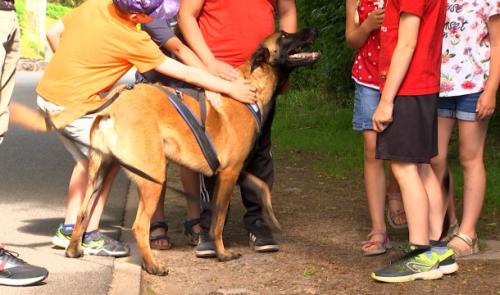 Action de sensibilisation dans les écoles sur la thématique canine