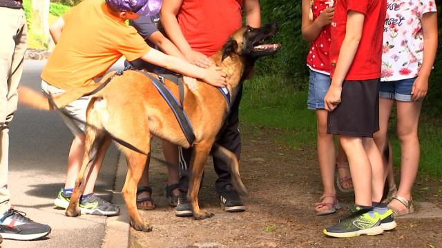 Action de sensibilisation dans les écoles sur la thématique canine