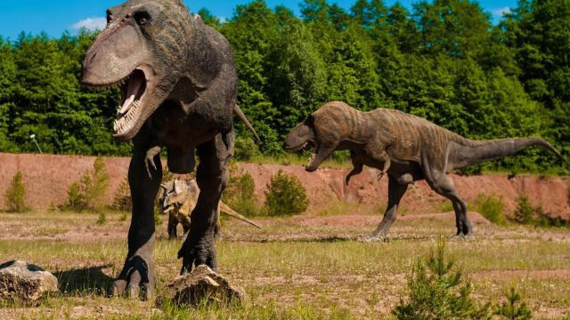 Des dinosaures à Remouchamps !