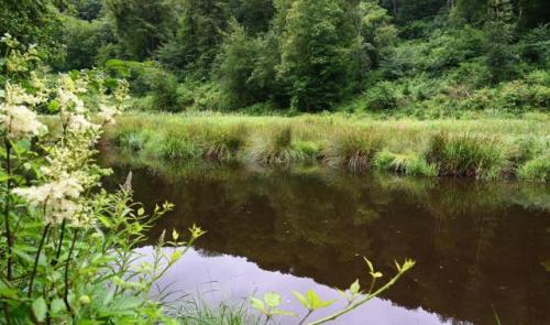 Disparition dans l'Ourthe à Sy : le corps du trentenaire n'a pas été retrouvé