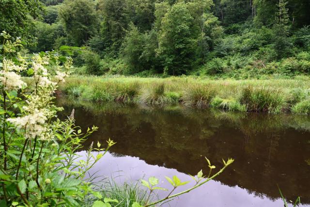 Disparition dans l'Ourthe à Sy : le corps du trentenaire n'a pas été retrouvé