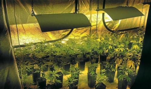 Importante opération antidrogue en région liégeoise et bruxelloise