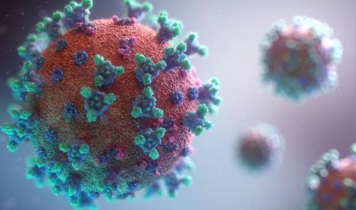 Plus de 11.000 contaminations, les hospitalisations repartent à la hausse