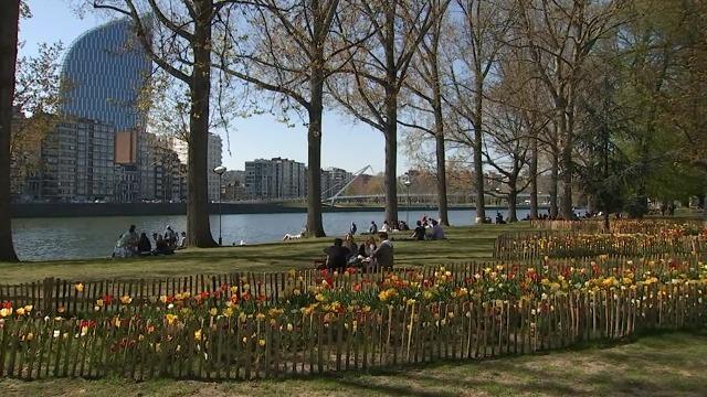 Les maxima resteront au-dessus des 20 degrés dans les prochains jours