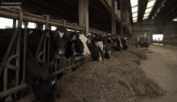 Rat des villes, rat des champs: les métiers qui gravitent autour de l’agriculture