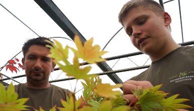 Un autre regard: technicien en horticulture