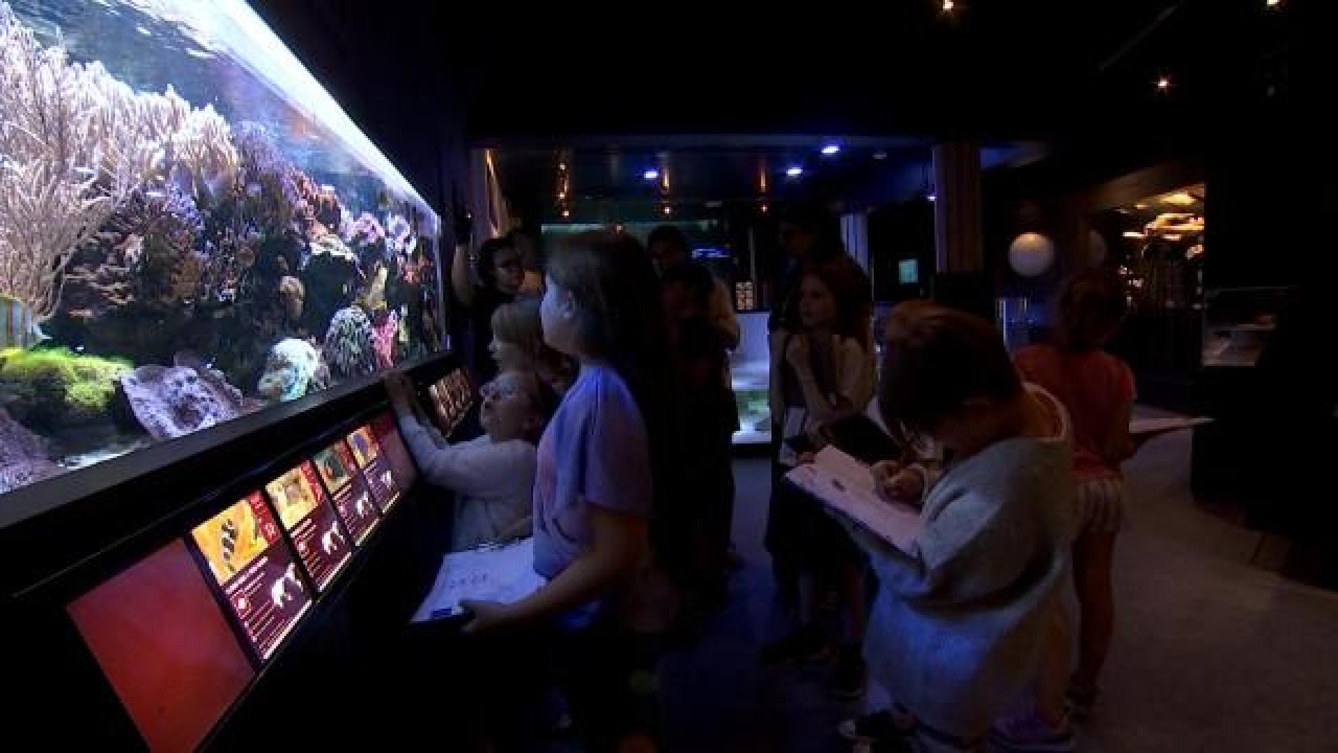 Un stage à la découverte des créatures EXTRAordinaires