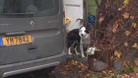 Trucs de wouf: La peur en voiture