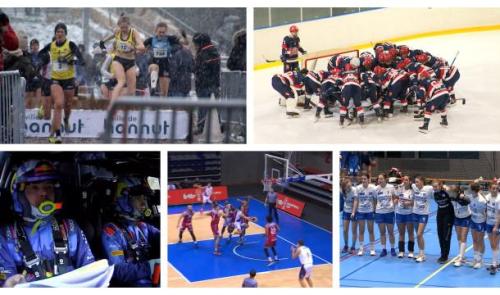 Zapping sports : on n'arrête plus les Bulldogs 