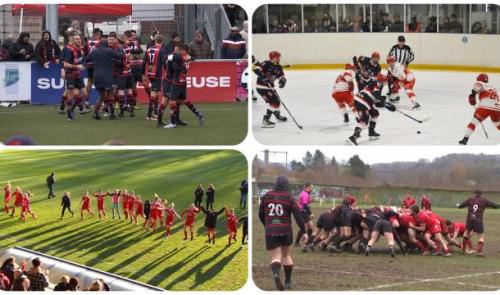 Zapping sports : les Bulldogs, n°1 en Belgique
