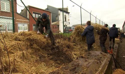 Une micro forêt Miyawaki s'installe à la FN Herstal 