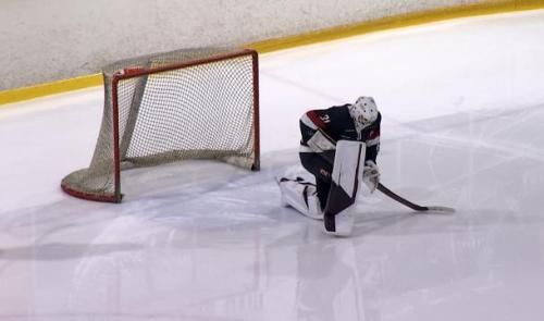 Hockey sur glace : les Bulldogs s'inclinent contre Heerenveen