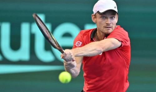 Tennis : David Goffin éliminé au deuxième tour à Lyon
