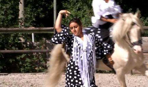Spectacle émotion mêlant Feria et Flamenco à Grâce-Hollogne 