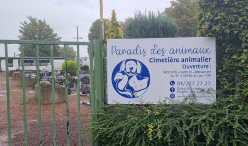 À Liège les animaux ont aussi leur cimetière 