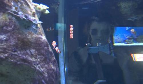L'aquarium revêt son plus beau déguisement pour Halloween