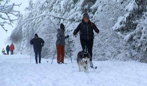Balades dans la neige à Botrange