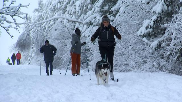 Balades dans la neige à Botrange