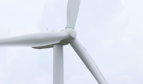 Vent: les parcs et les cimetières liégeois fermés ce lundi matin