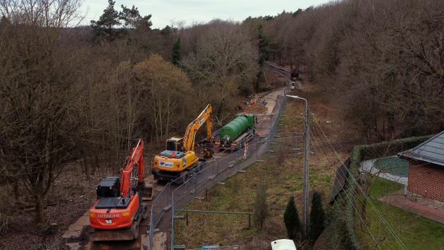 Le chantier Elia à Seraing est arrêté : en cause, le saccage de la biodiversité