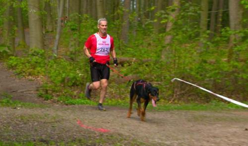 Le canicross: la discipline qui booste le cardio et les chiens