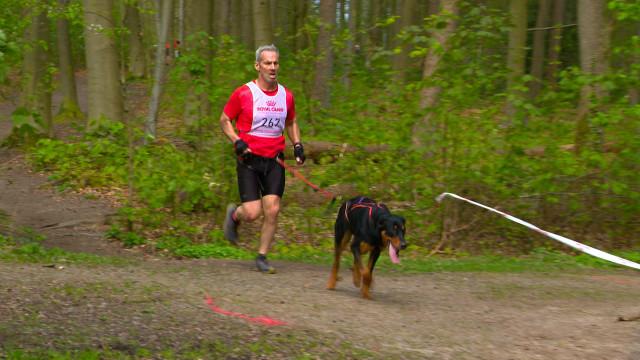Le canicross: la discipline qui booste le cardio et les chiens