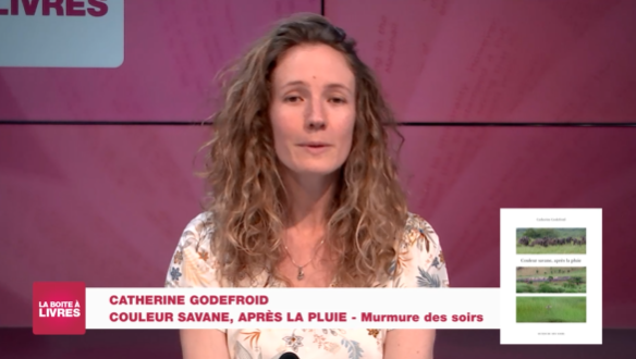 Boite à livres: Catherine Godefroid, Couleur savane, après la pluie (Murmure des soirs)