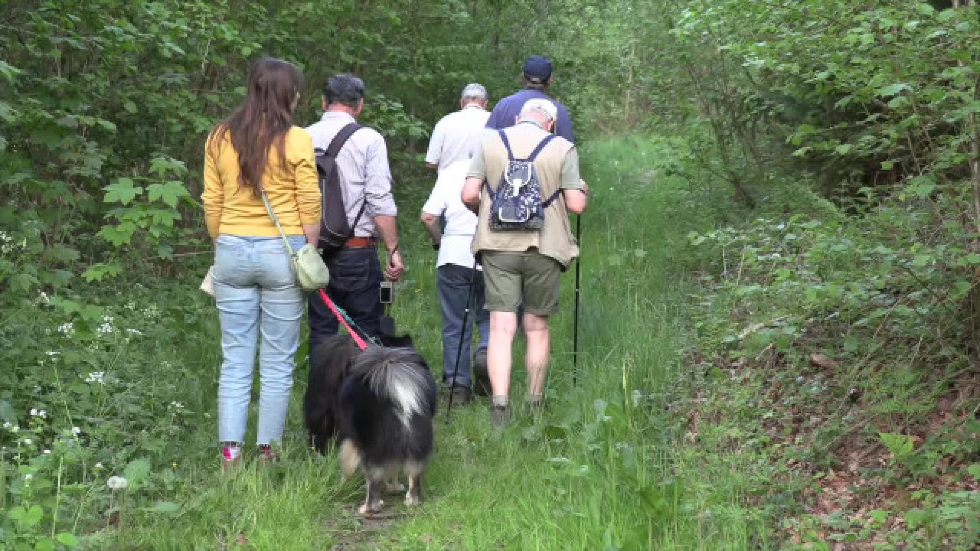 Plusieurs forêts et espaces verts fermés en Wallonie en raison des intempéries