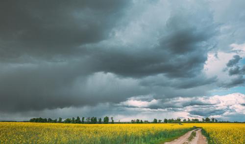Le retour de la pluie après le beau temps