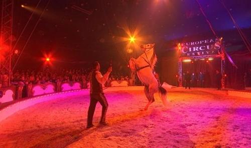 27ème Festival européen du Cirque