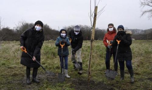 3000 arbres plantés à Lanaye