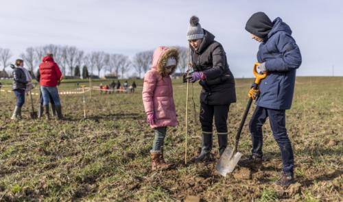 3500 arbres plantés en une journée à Crisnée 