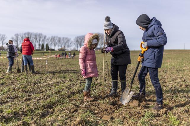 3500 arbres plantés en une journée à Crisnée 