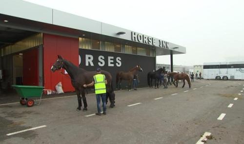 500 chevaux de haut niveau en transit à Liège Airport 